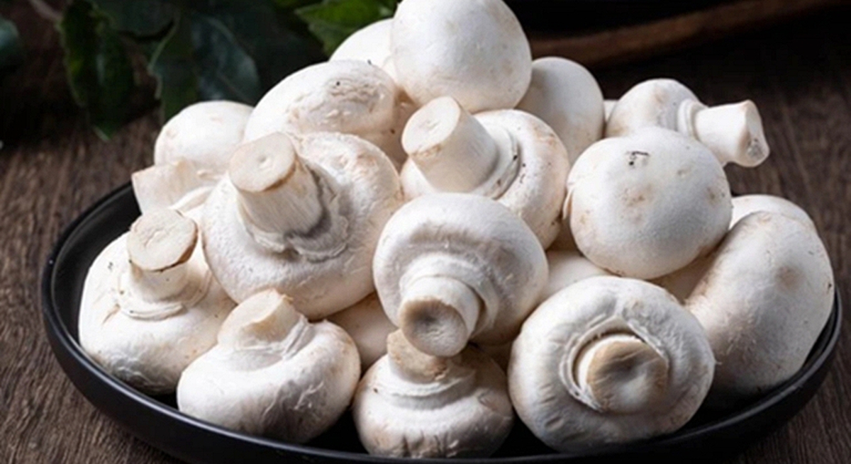 Giàu kali gấp hàng chục lần chuối, loại nấm giá rẻ giúp nhuận tràng, tốt gan, giảm mệt mỏi và tăng miễn dịch đang vào mùa