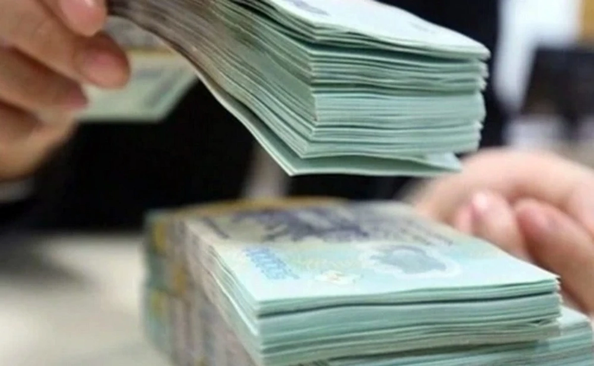 Tài chính Hoàng Huy, phân bón Bình Điền bị truy thu thuế