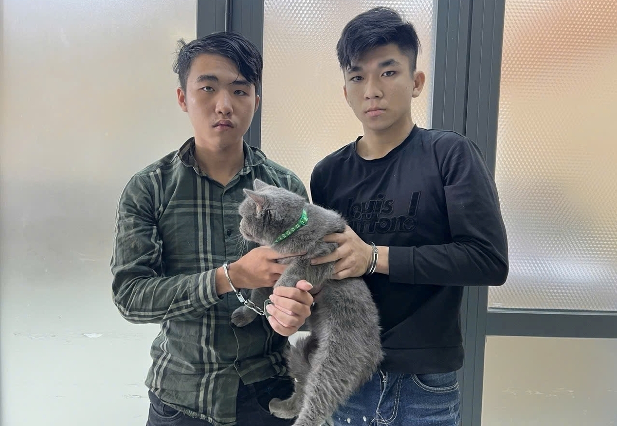 Công an TP.HCM bắt 31 kẻ trộm cắp chó, mèo trong 3 tháng đầu năm