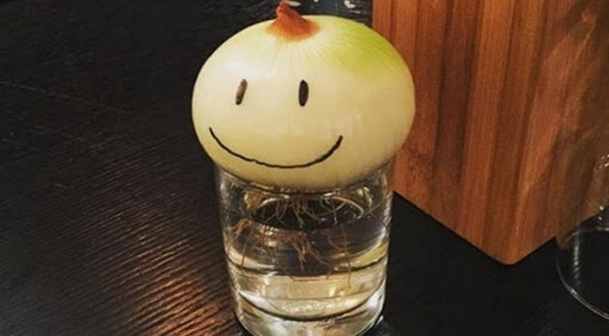 Không phải mê tín, giờ mới biết vì sao nhiều nhà luôn đặt 1 củ hành tây trong phòng ngủ