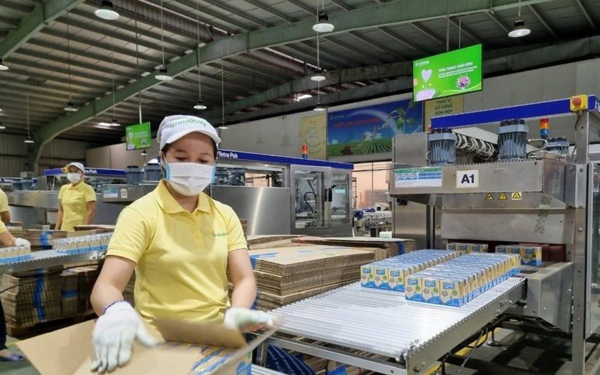 Một công ty sắp chốt ngày trả cổ tức 20% bằng tiền mặt, duy trì mức 40% năm thứ ba liên tiếp