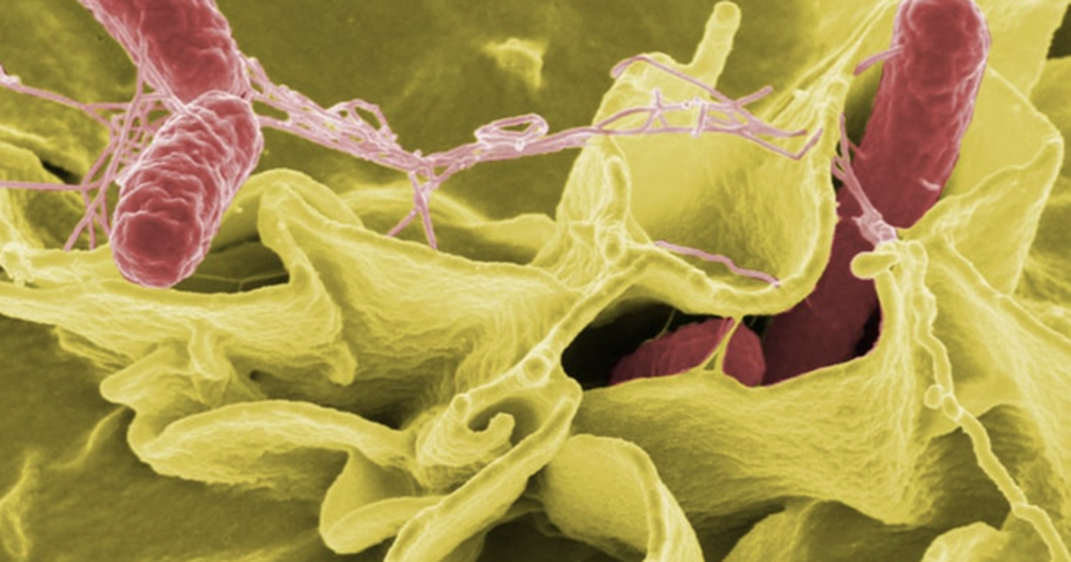 TPHCM: Tình trạng học sinh nghi ngộ độc thực phẩm tại Trường Bình Quới Tây hiện ra sao?