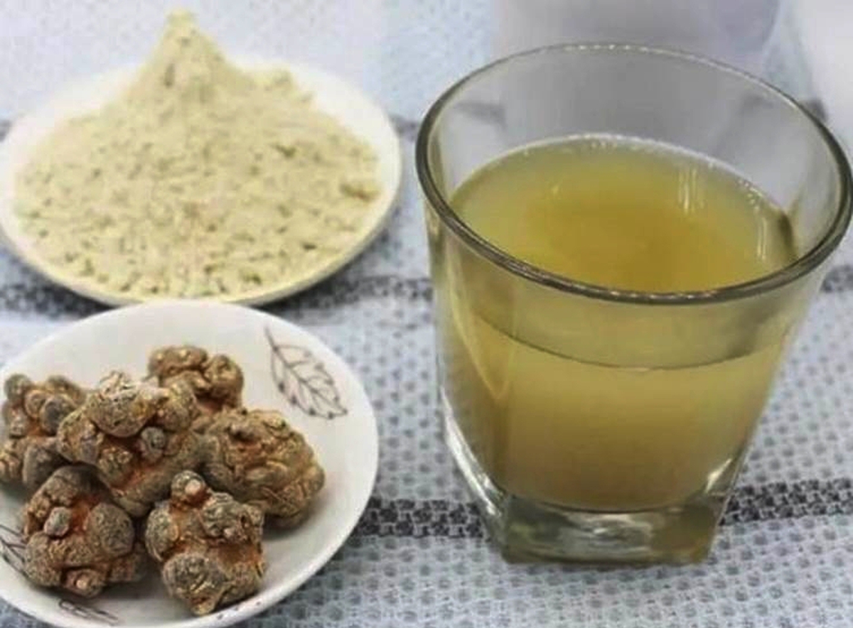 Uống tam thất hàng ngày có tốt?