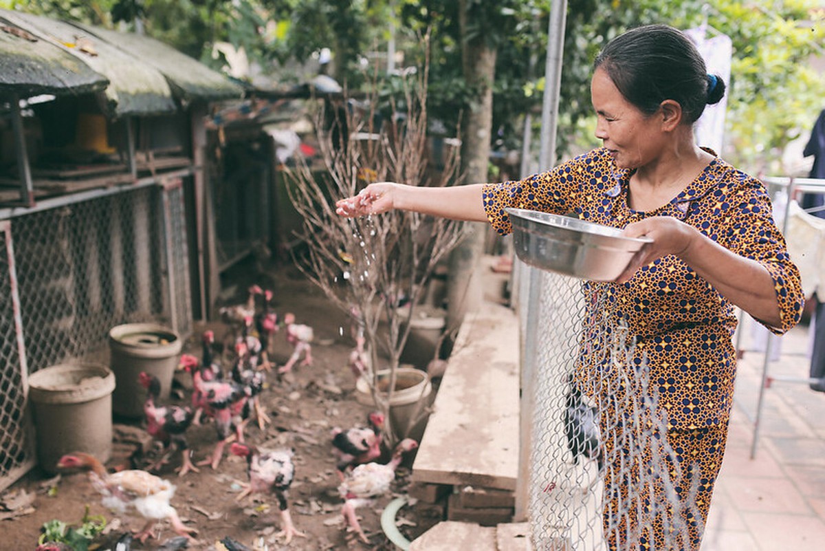 70% người Việt dự kiến làm việc sau nghỉ hưu, tại sao?