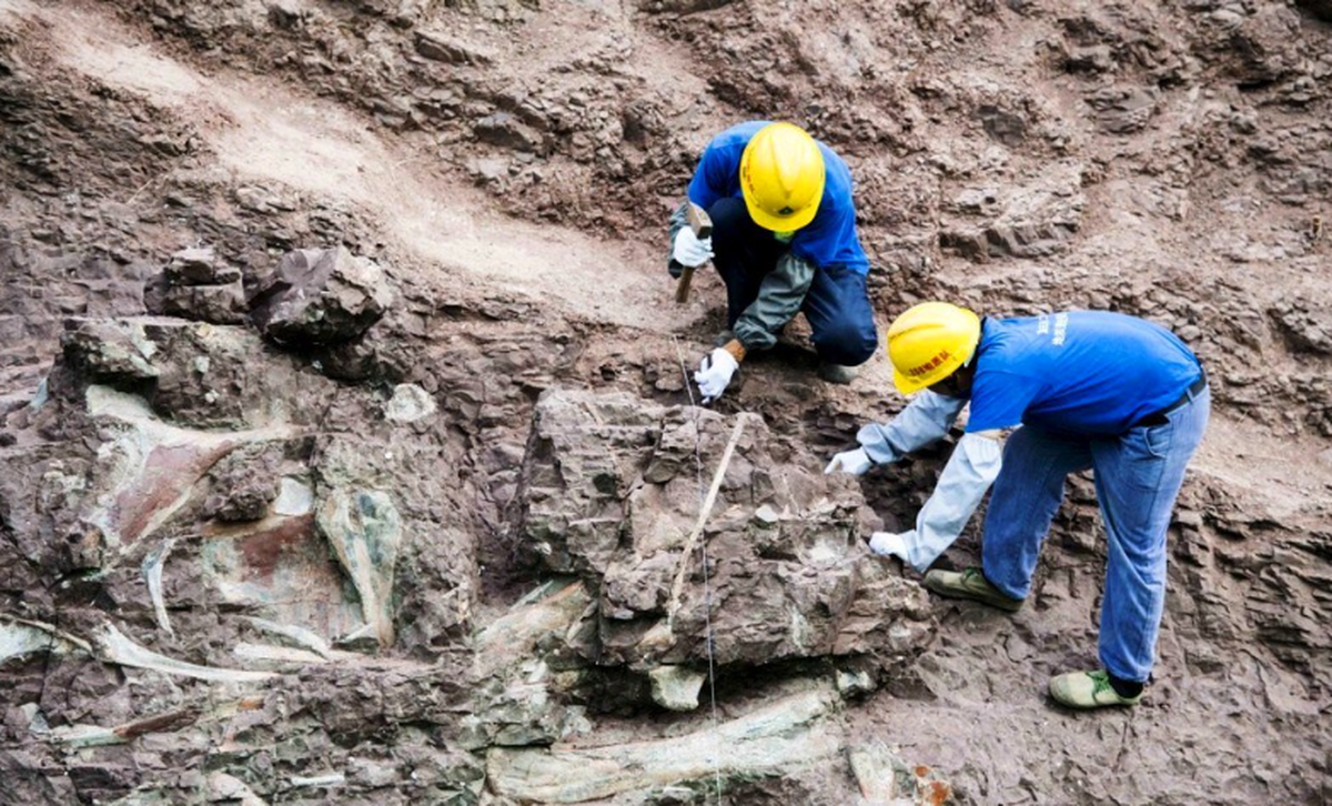 Một khu vực ở Trung Quốc phát hiện hơn 700 sinh vật có thể viết lại lịch sử sự sống Trái Đất: Chuyện gì đang xảy ra?