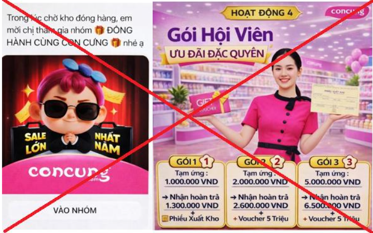 Sập bẫy nhóm “Đồng hành cùng Con Cưng”, người phụ nữ ở Hà Nội mất gần 1 tỷ đồng