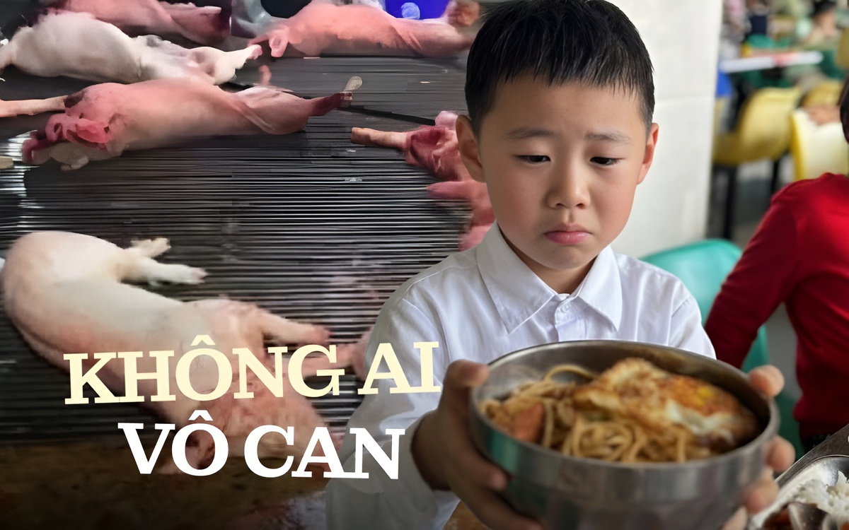 Thịt lợn bệnh "đầu độc" học sinh: Người lớn đừng tranh nhau nhận mình là "nạn nhân" nữa, tốt nhất hãy làm ngay điều này!