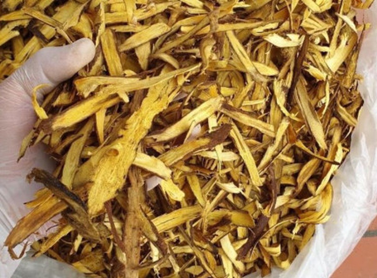 1 loại cây quý phơi khô là "khắc tinh của ung thư", hạ đường huyết hiệu quả: Rất sẵn ở Việt Nam