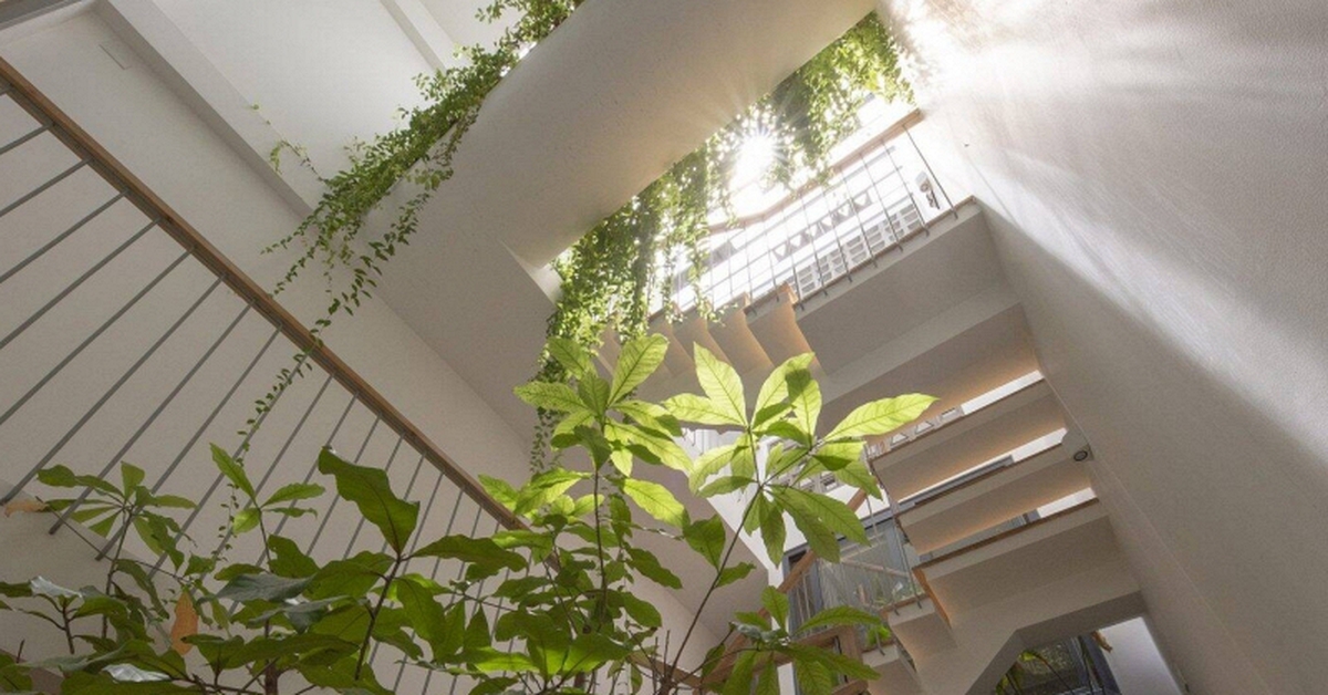 Ông bà dặn: Nhà có đủ 6 dấu hiệu này thì ai hỏi cũng đừng bán, càng ở càng tốt, con cháu hưởng lợi nhiều đời