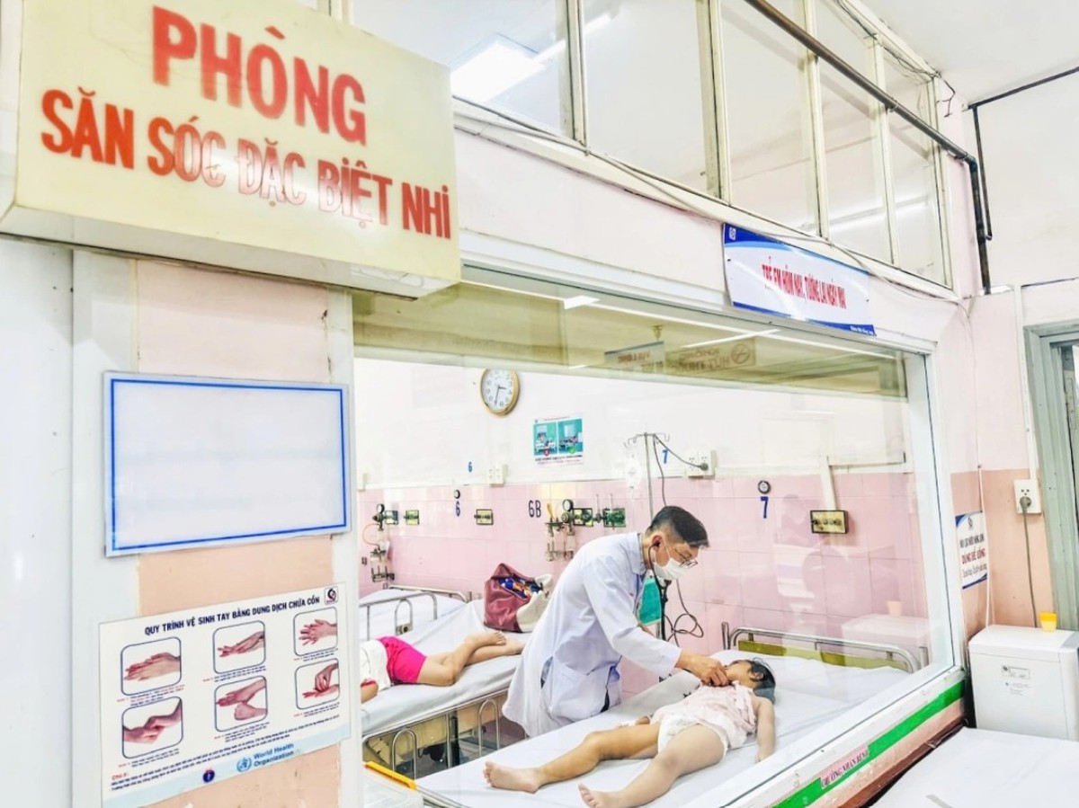 TP.HCM: Bánh flan và canh bắp cải khiến 266 học sinh tiểu học ngộ độc