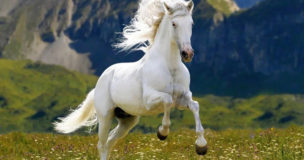 Chuyên gia dự báo: 5 năm tới, 3 con giáp có cơ hội bứt phá tài chính, thu nhập mở rộng từ nhiều nguồn