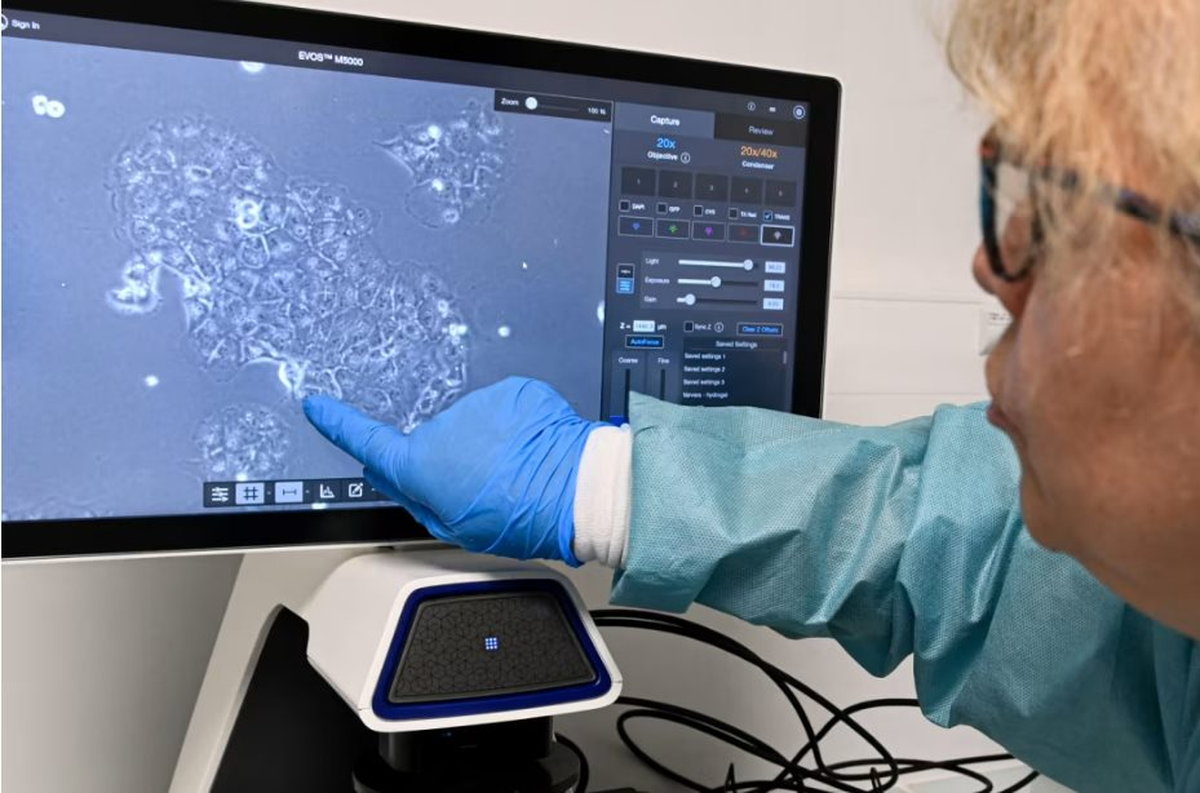 Sau 15 năm, các nhà khoa học đã tìm ra thuốc mới cho điều trị bệnh ung thư tuyến tụy