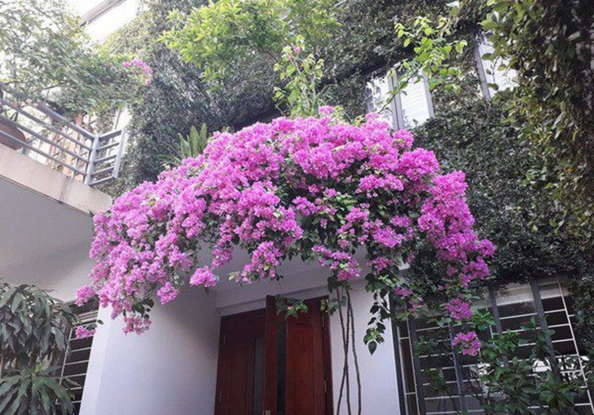 Không phải mê tín: Nếu nhà xuất hiện 7 dấu hiệu này, may mắn kéo dài, vừa đẹp sang vừa hút lộc, bảo sao càng ở càng hưởng lợi