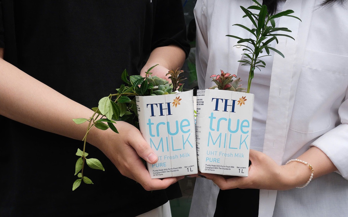 Workshop Vỏ hộp tái ‘xinh’ 4: Lan tỏa vòng tuần hoàn xanh hưởng ứng Ngày Trái Đất