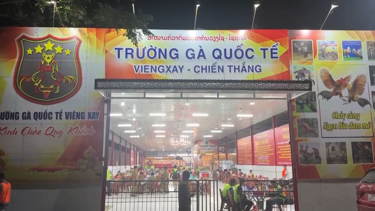 Trường gà 1.200 tỷ: Hé lộ đường dây vận hành tinh vi, kéo con bạc Việt sang Lào