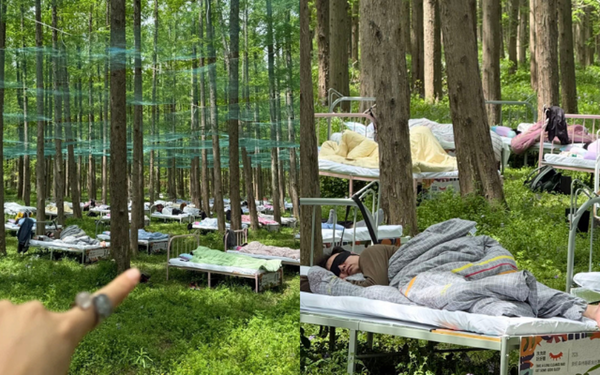 Cuộc thi ngủ trong rừng đang hot ở Trung Quốc: Kín 400 suất đăng ký, tiền thưởng cho “thần ngủ" là bao nhiêu?