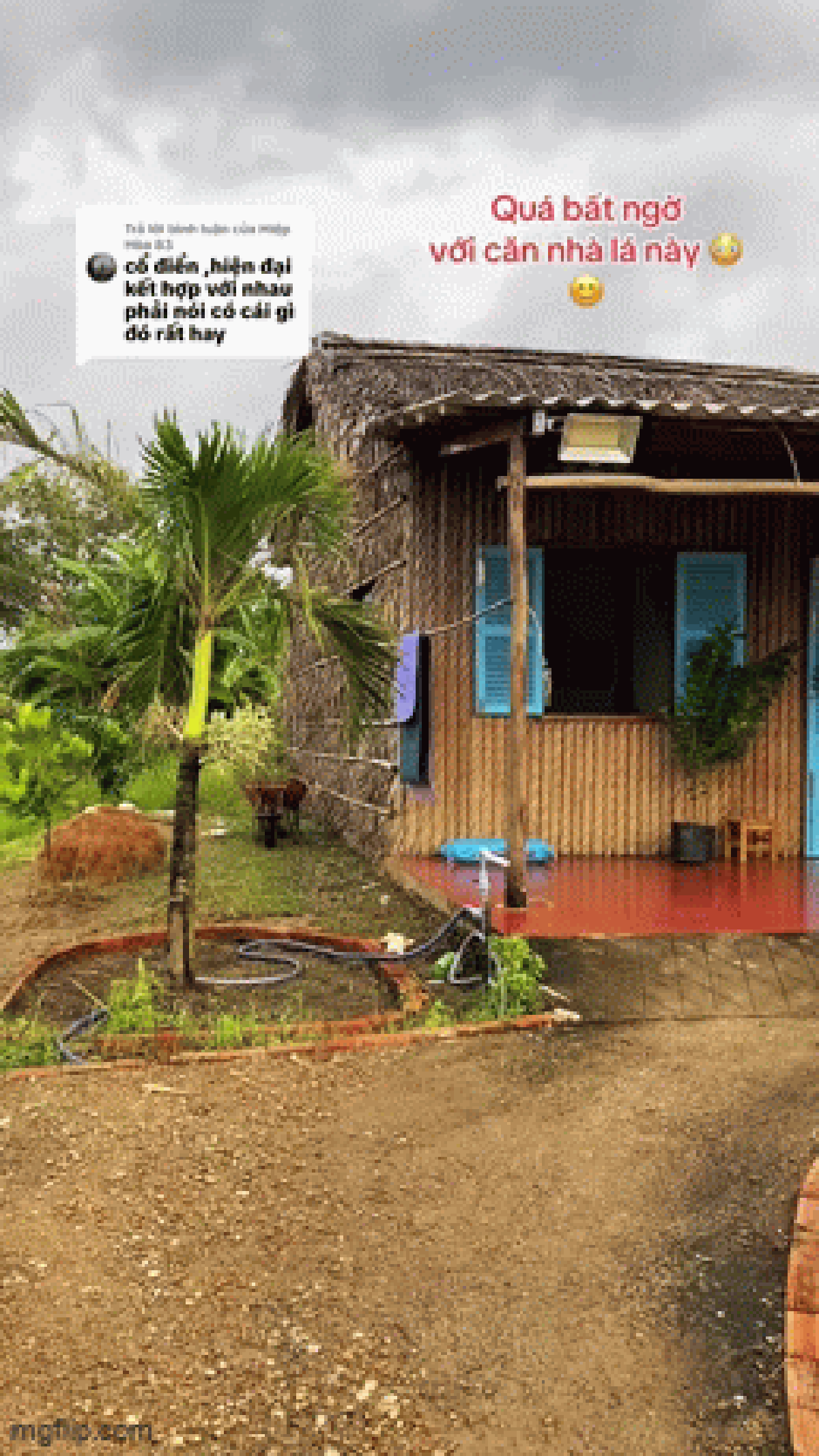 Vợ chồng trẻ rời phố về quê sau 10 năm, chi 130 triệu đồng để dựng nhà lá: Thành quả bất ngờ