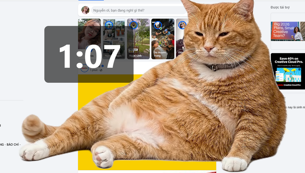 Tiện ích mới siêu HOT: Một chú mèo béo ngờ chiếm trọn màn hình, giúp người dùng “cai” lướt mạng vô thức