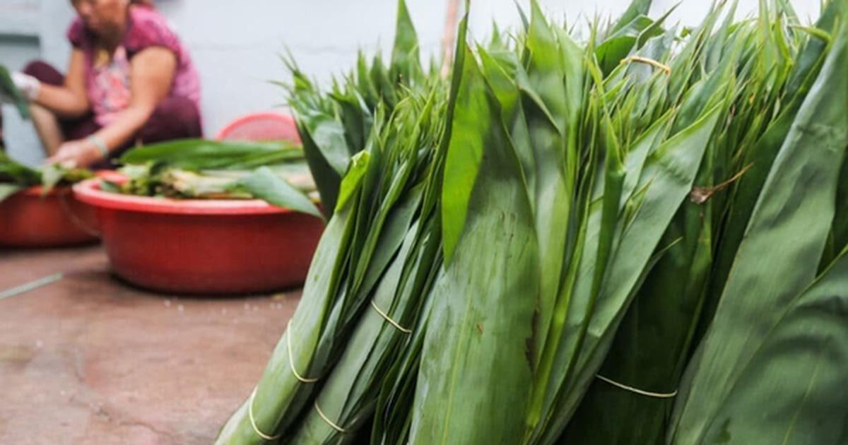 2 thứ bỏ đi ở Việt Nam, trời Tây có giá đắt đỏ, nhất cái số 1 ở quê rụng đầy vườn