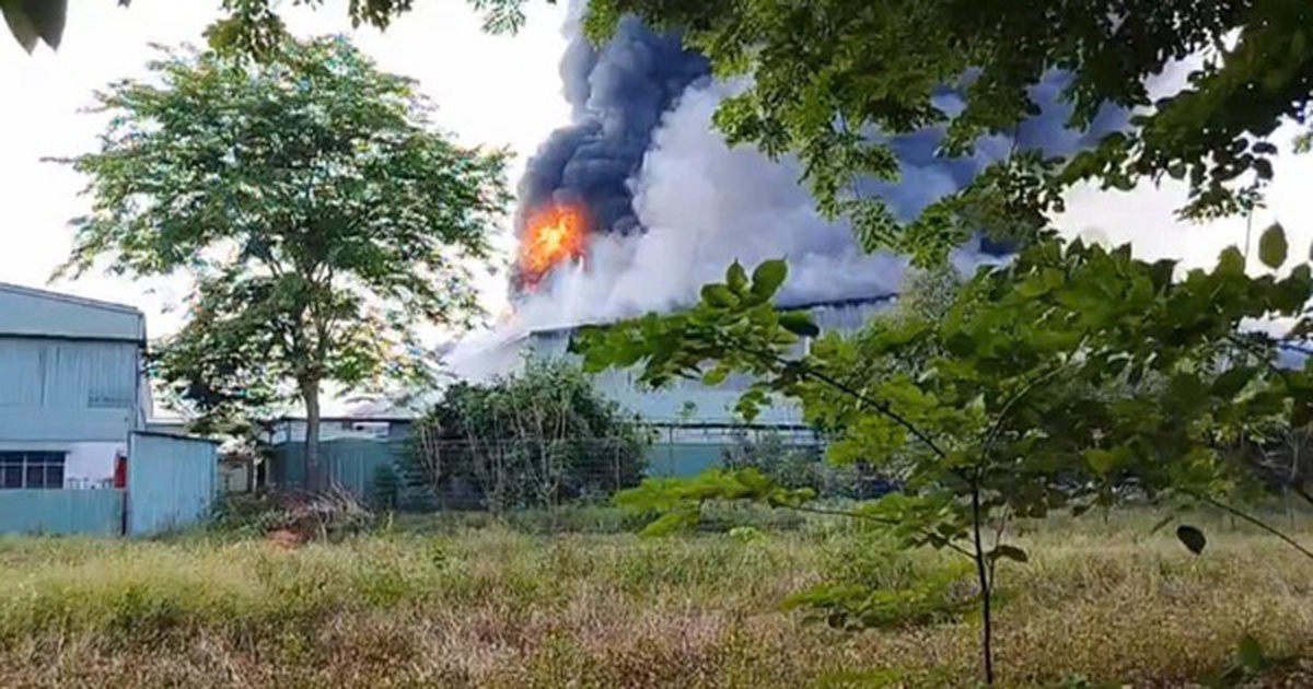 Cháy kèm tiếng nổ lớn trong nhà xưởng 7.000 m² ở TPHCM