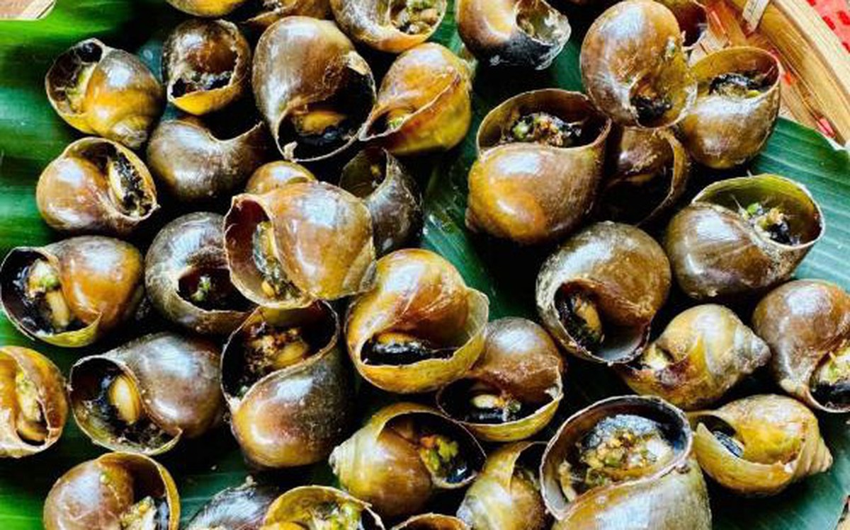 Từ tư duy marketing đến giấc mơ nuôi ốc khác biệt