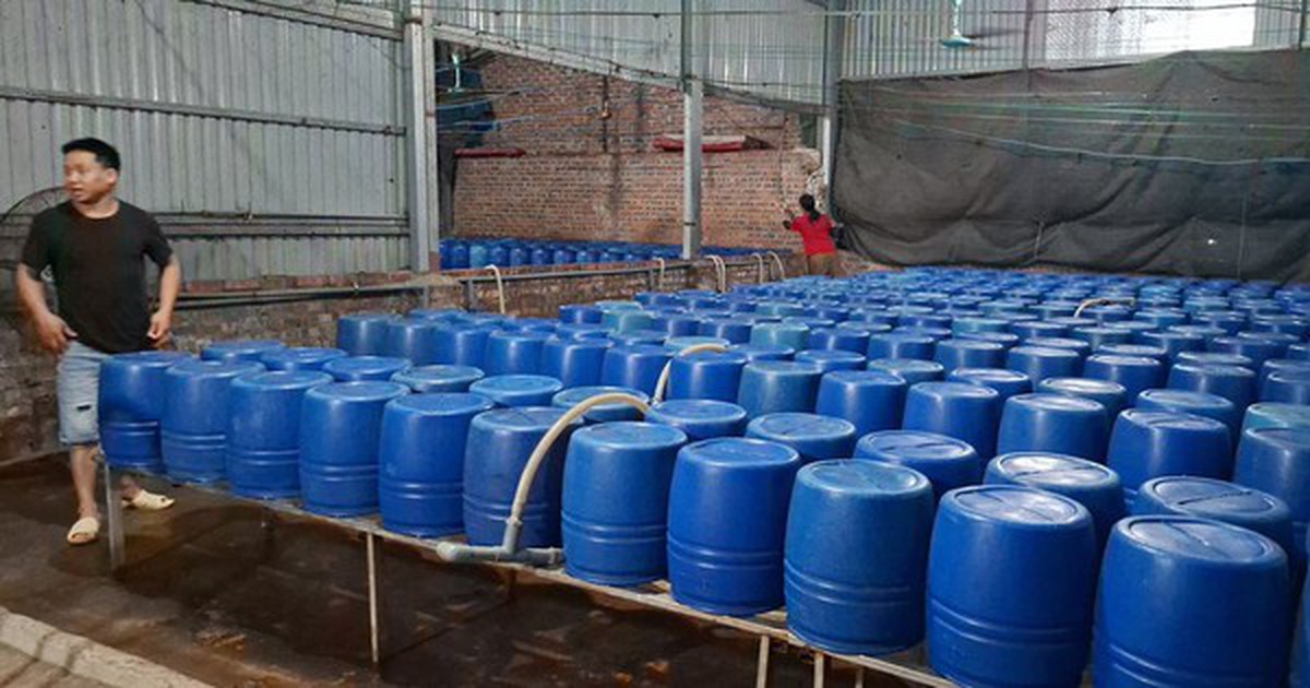 Cận cảnh bên trong cơ sở sản xuất hơn 500 tấn giá đỗ có sử dụng chất độc hại