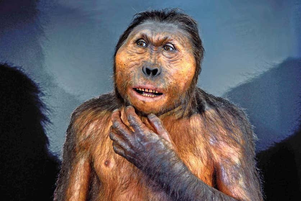 Loài Paranthropus đã cùng tồn tại với con người trong 850.000 năm, nhưng lại không để lại hậu duệ nào: Lực cắn cực mạnh chính là nguyên nhân dẫn đến sự tuyệt chủng của chúng