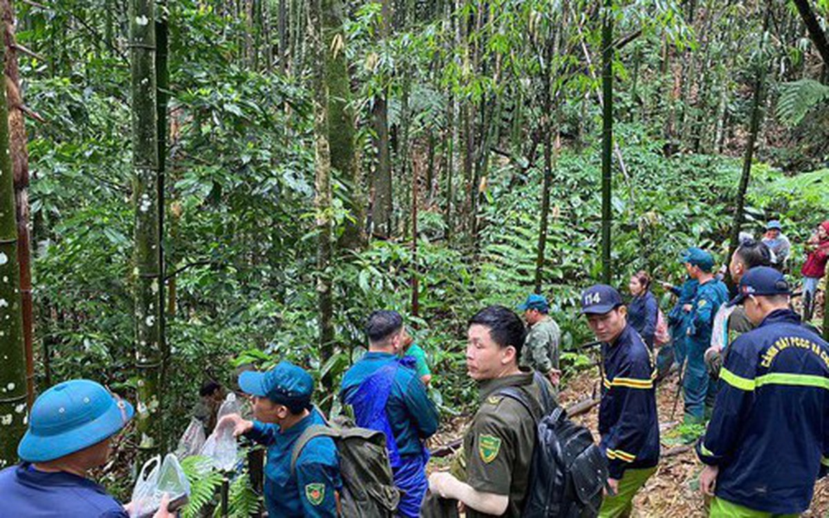 Huy động hơn 300 người tìm kiếm người đàn ông mất tích trong rừng sâu