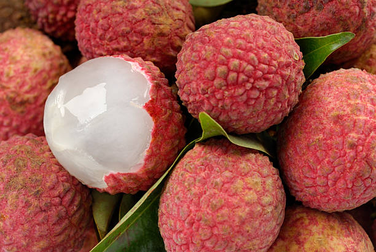 Lời khuyên cho những người thích ăn vải
