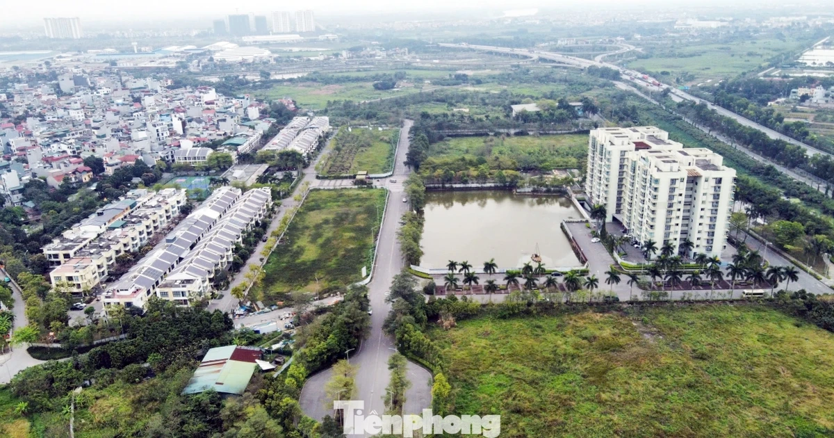 Vụ dự án 88 Central lật kèo sau 6 năm "ôm đất": Có dấu hiệu hình sự, chuyển cơ quan công an