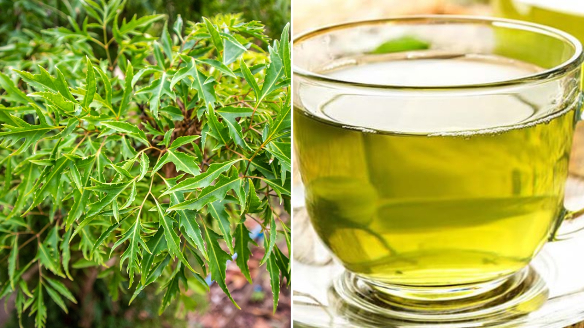 Đinh lăng "bổ như sâm" nhưng 9 nhóm người này không nên dùng kẻo rước họa vào thân