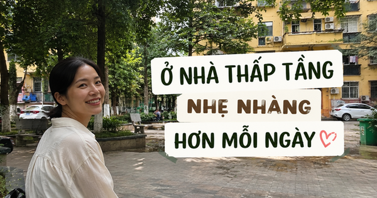 Rời căn hộ tầng 32 để về khu tập thể cũ, tôi mới hiểu sống thoải mái không nằm ở việc nhà cao bao nhiêu tầng