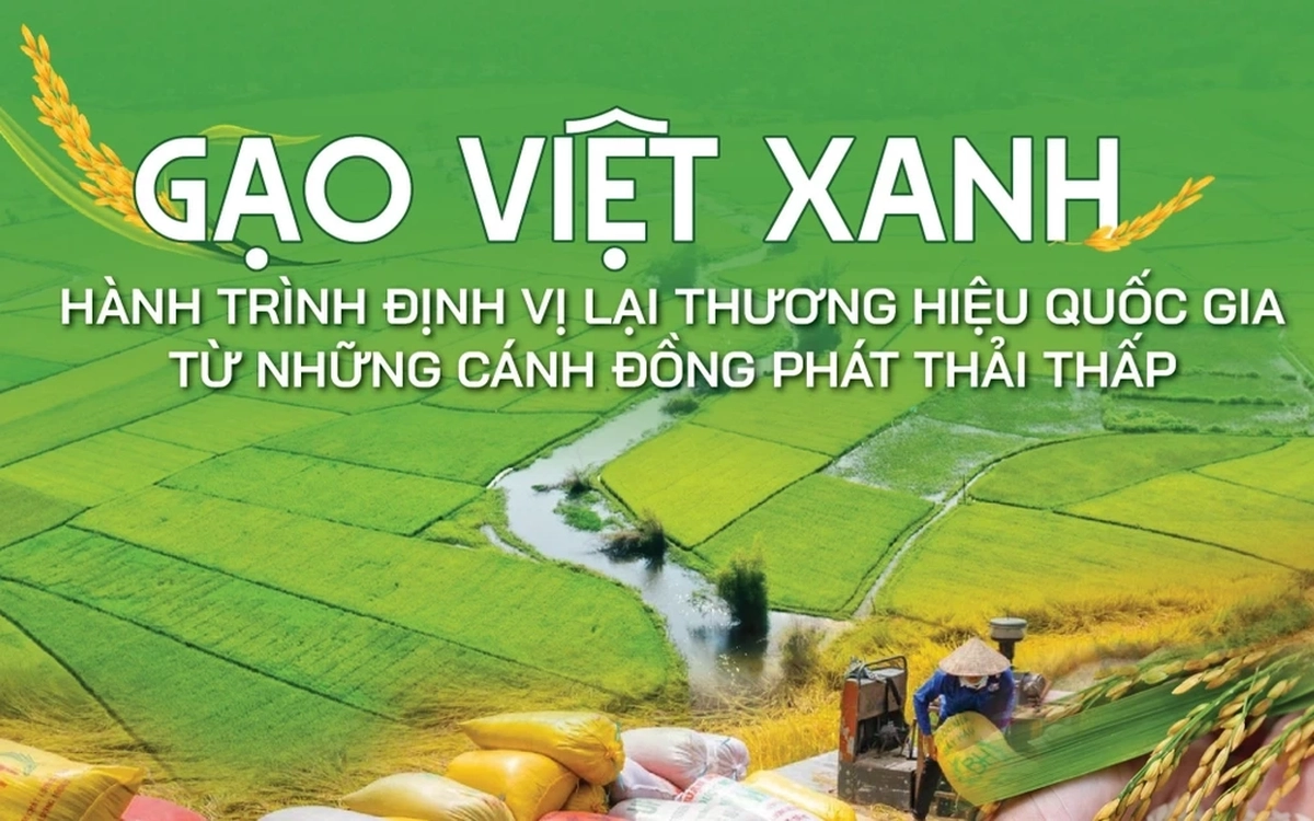 Gạo Việt xanh, phát thải thấp: Định vị thương hiệu quốc gia trên bản đồ nông nghiệp toàn cầu