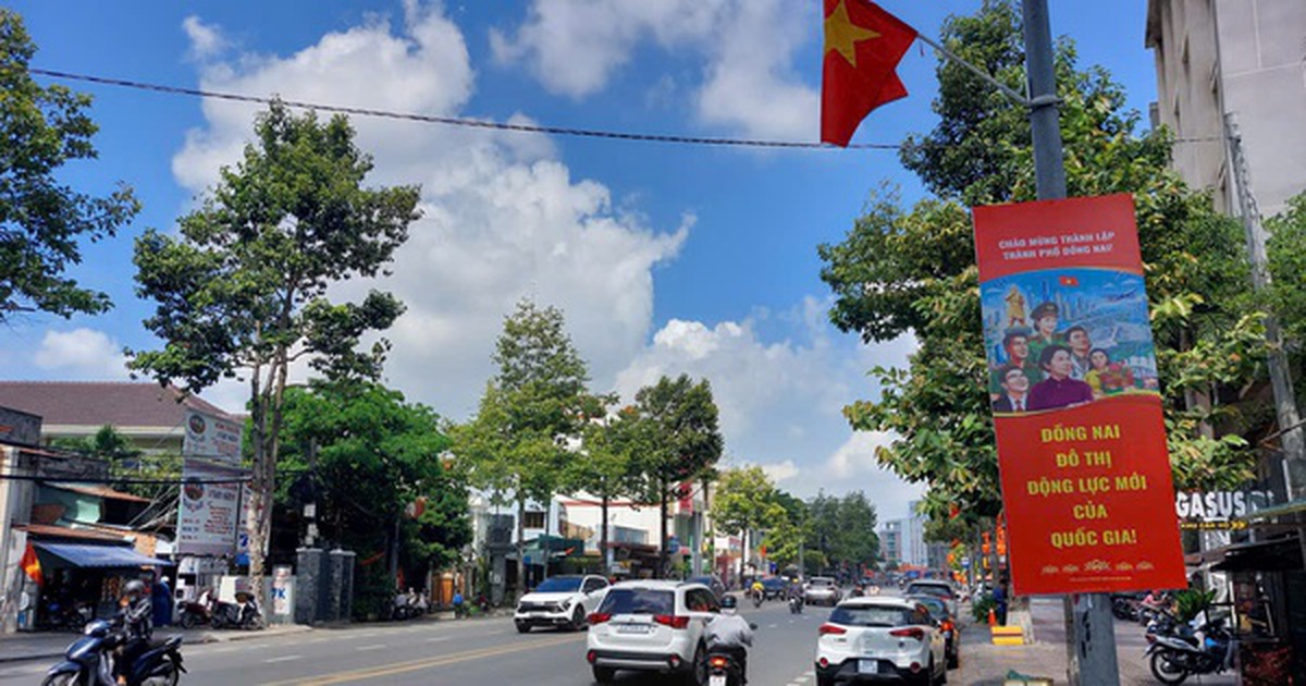 Bắn pháo hoa chào mừng lễ công bố thành lập TP Đồng Nai