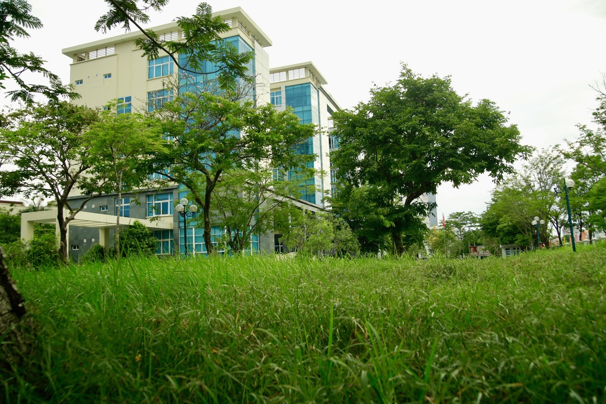 Bên trong khu nhà đất gần 20.000 m2 bỏ hoang chuẩn bị làm trụ sở UBND TP Huế