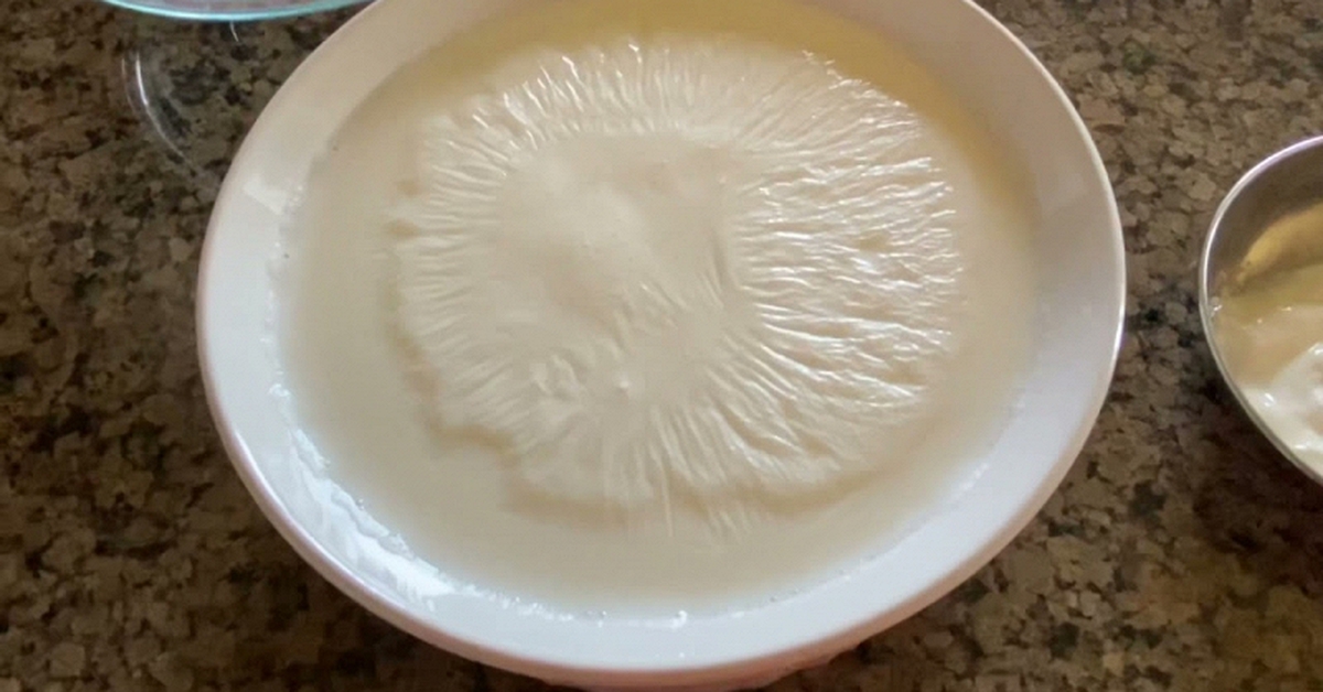 Nữ bác sĩ Nhật giảm 15kg nhờ kiểu ăn sữa chua "lạ đời"