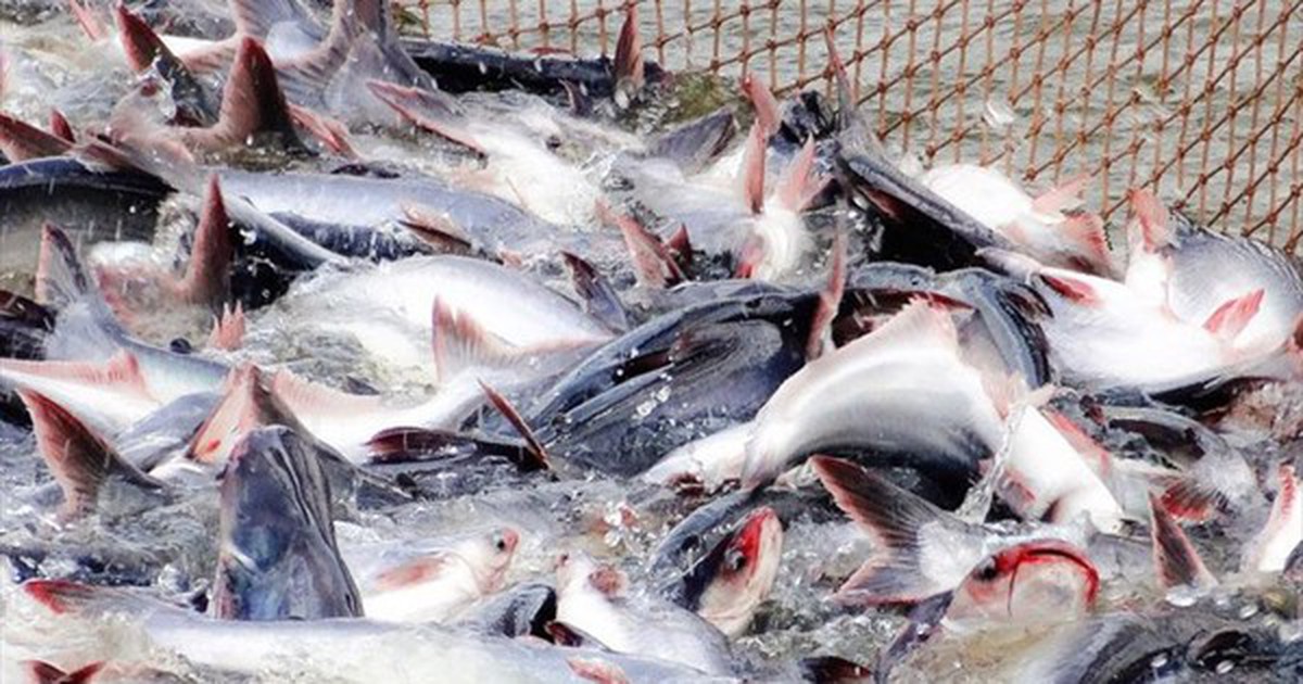 Mỹ báo tin vui cho một mặt hàng chủ lực của Việ...