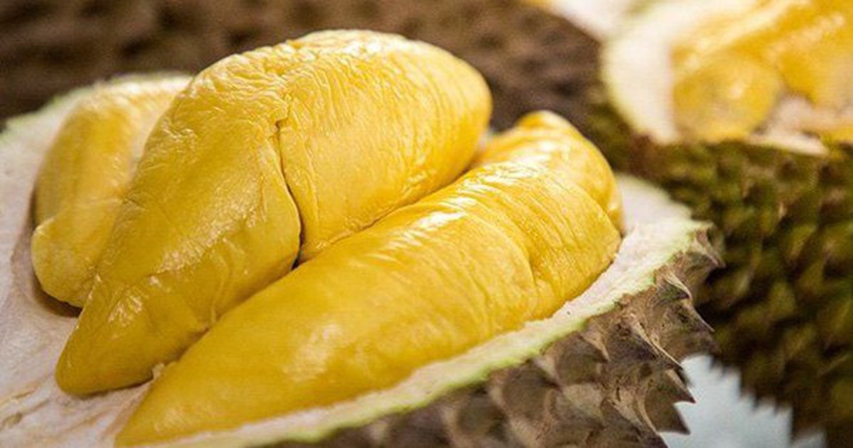 Dân tình phát sốt vì "sầu riêng"vào mùa: Ăn thường xuyên, cơ thể có thể gặp loạt biến đổi bất ngờ