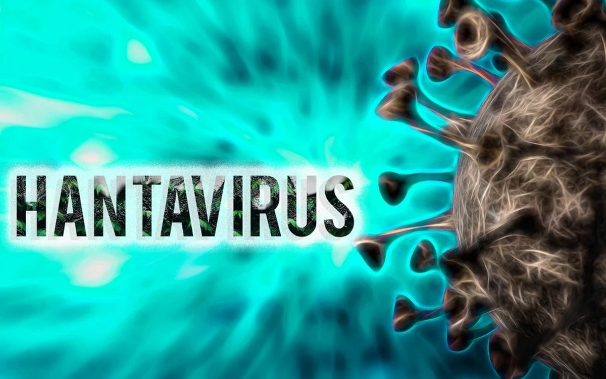 Bộ Y tế thông tin về virus Hanta gây bệnh nặng lây từ chuột sang người