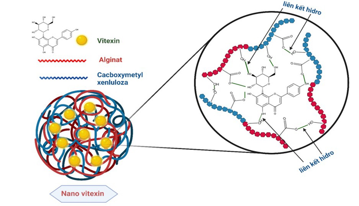 Độc quyền sáng chế: Việt Nam tạo đột phá nguyên liệu Nano công nghệ cao từ... vỏ đậu xanh
