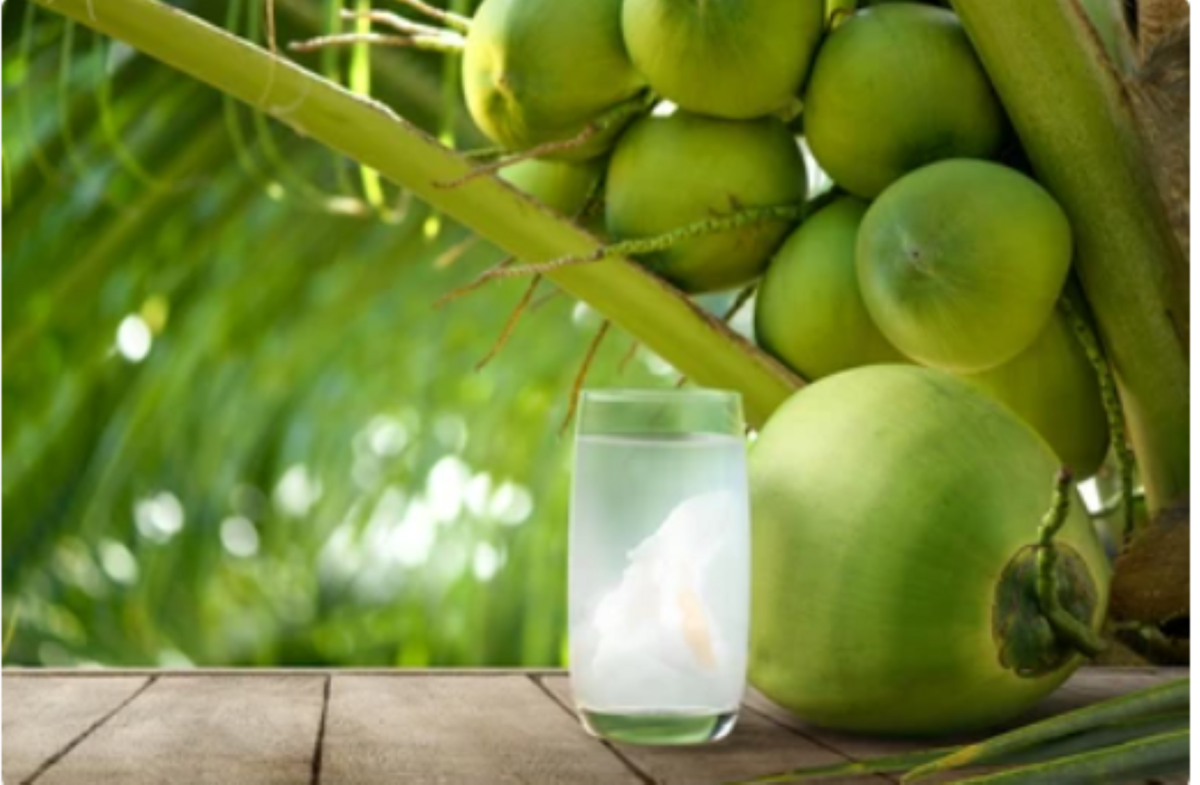 3 lời khuyên cho các gia đình hay uống nước dừa