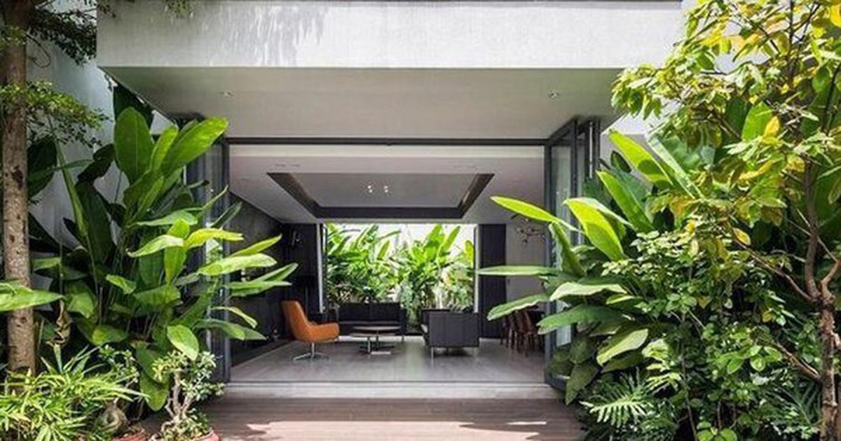 5 loại cây không nên trồng trước cửa nhà: Cây càng xanh tốt nhà càng suy