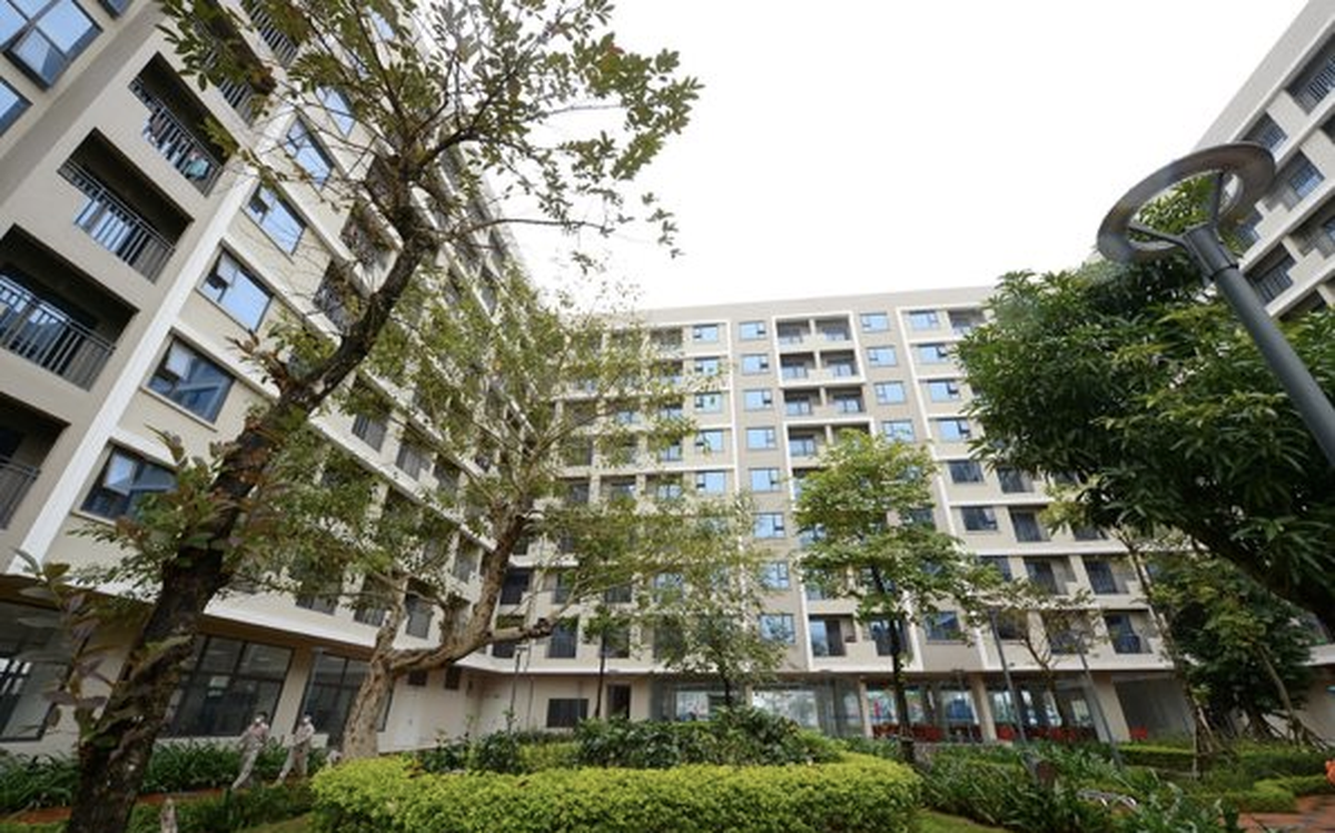 TP.HCM bước vào “kỷ nguyên thuê nhà”: Giá căn h...