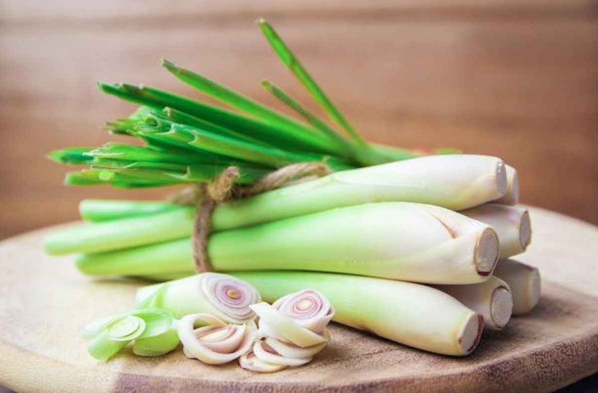 Vì sao người xưa thích trồng cây sả quanh nhà?