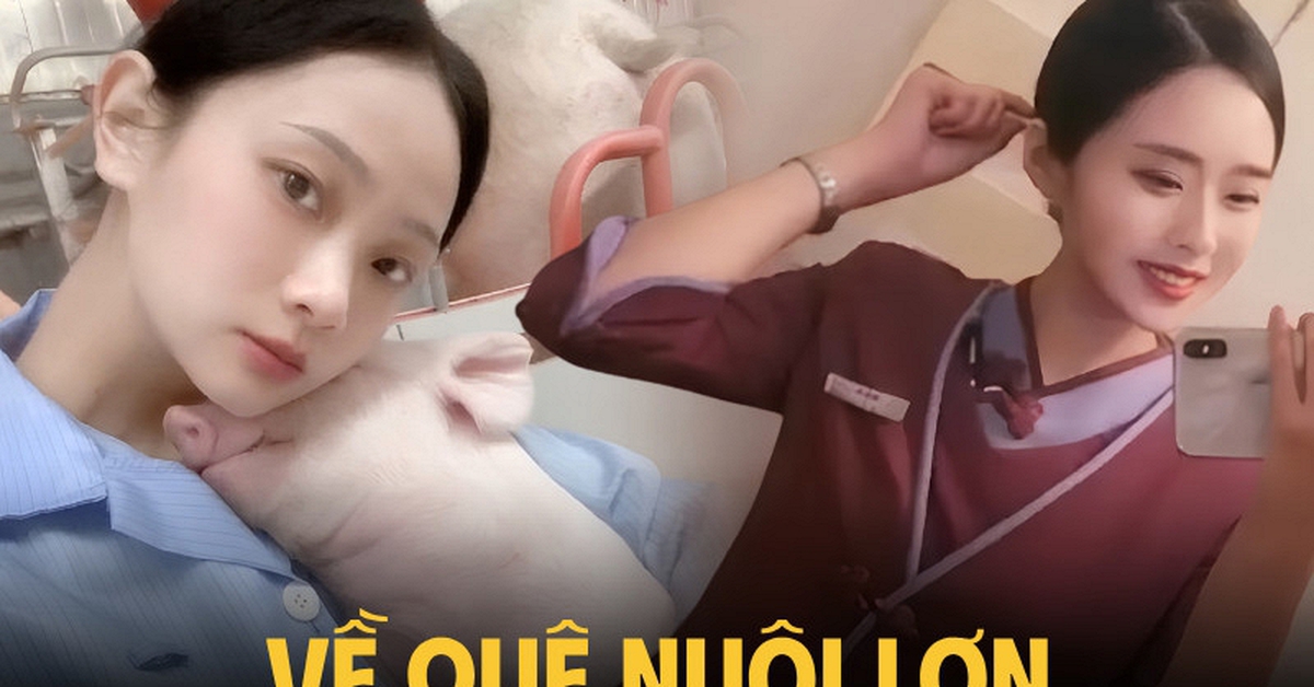 Bỏ việc tiếp viên hàng không về quê nuôi lợn, tháng kiếm hơn 300 triệu