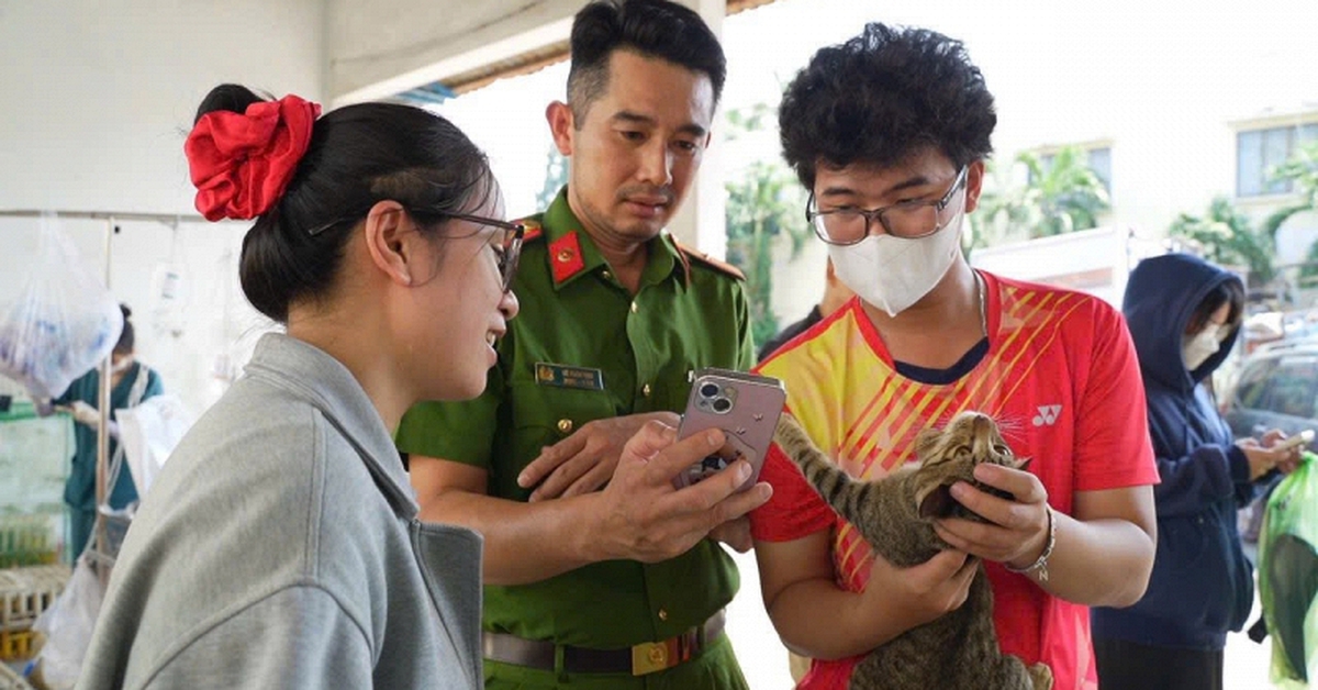 Tất cả người dân đang nuôi chó, mèo chú ý quy định phạt đến 2 triệu đồng từ 1/8