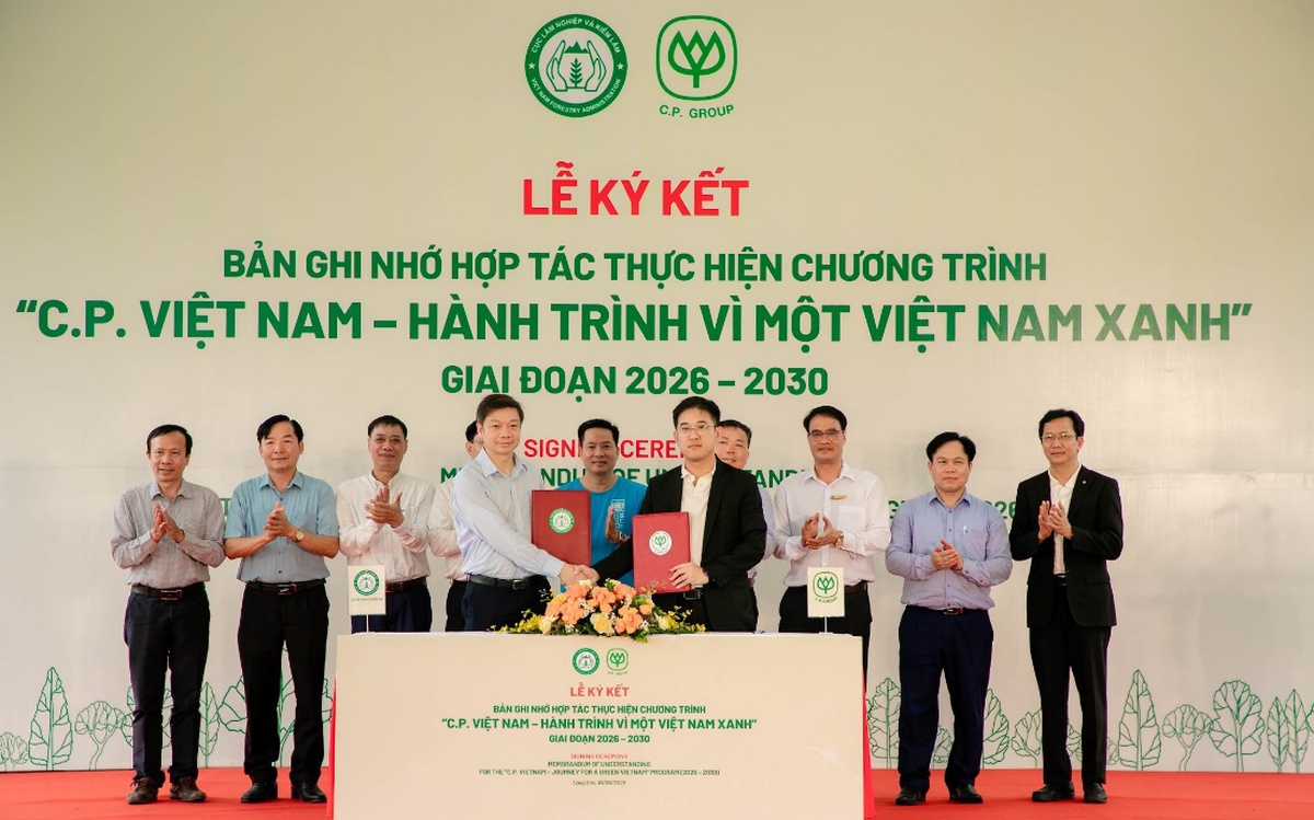 Từ 1,5 triệu cây xanh đến bài toán hợp tác công - tư trong trồng cây, phục hồi rừng