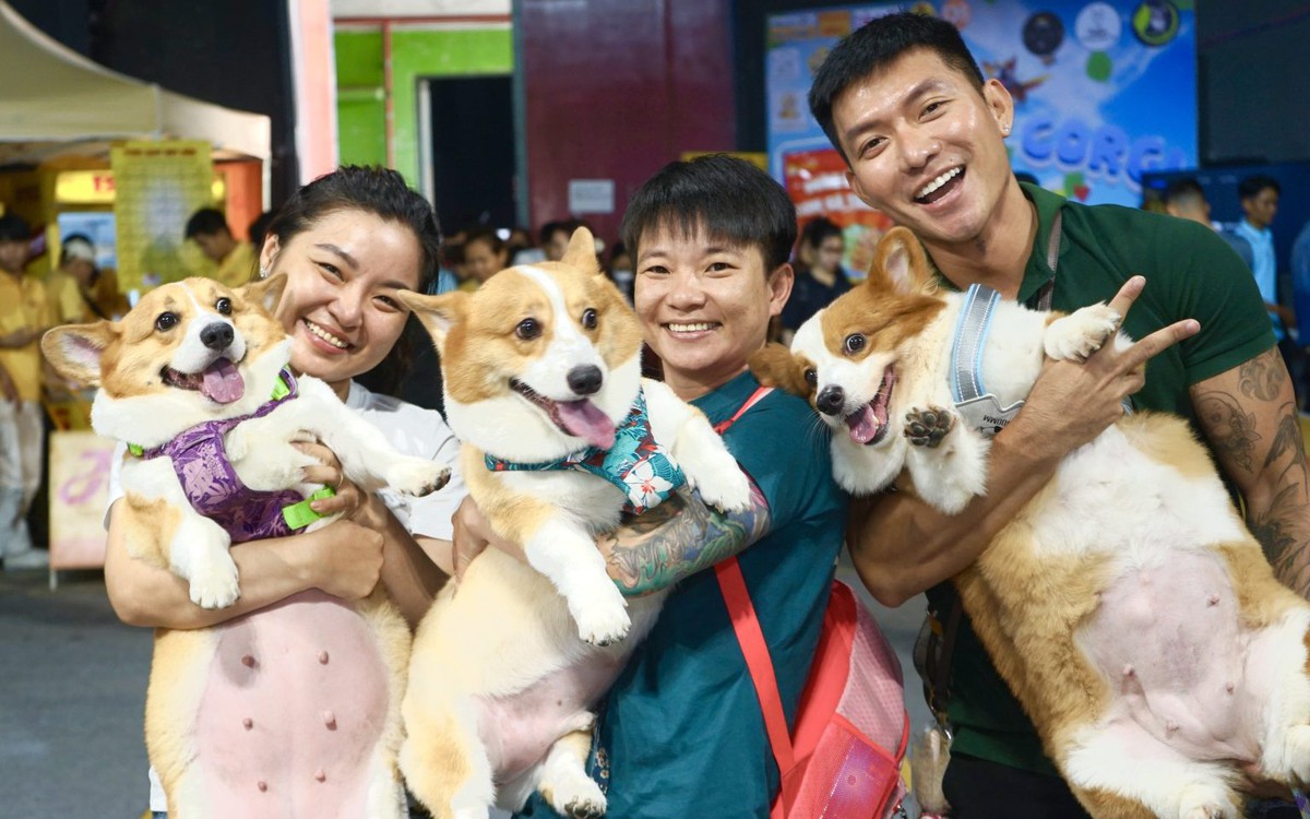 "Nền kinh tế bốn chân" Việt Nam trị giá hàng tr...