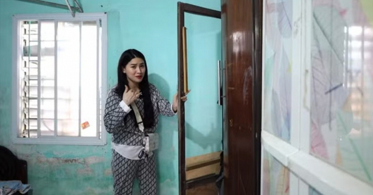 Quá khứ của Võ Hà Linh