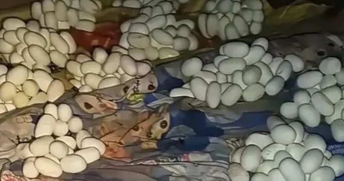 Mở cửa căn phòng trống, nam thanh niên chứng kiến cảnh tượng "không thể tin nổi"